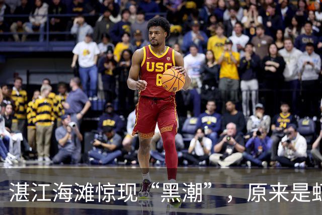 湛江海滩惊现“黑潮”，原来是虾农的清洗大作战！